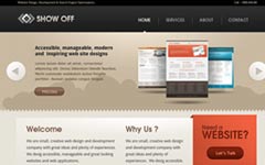 攻击网站服务器